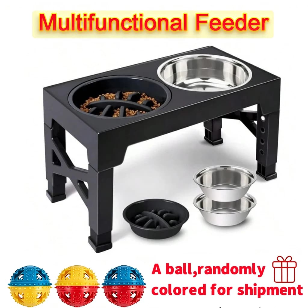Elevated Slow Feeder Set