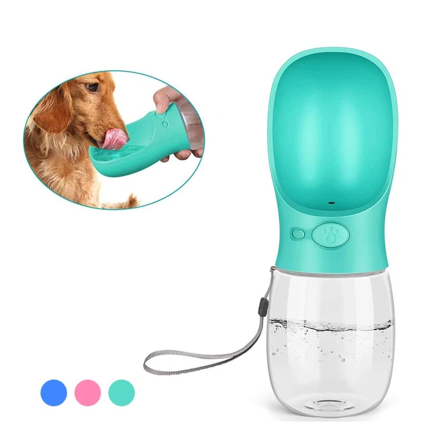 Walkies Water Bottle
